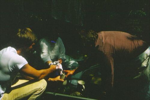 041 Index [1024x768]