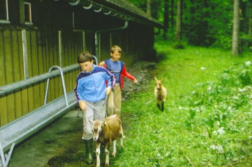 035 Index [1024x768]