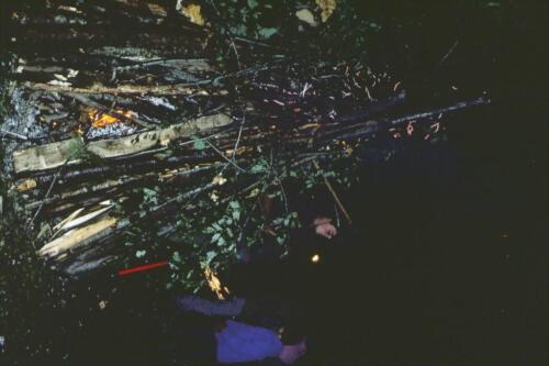 053 Index [1024x768]