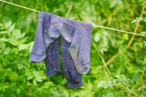 090 Index [1024x768]