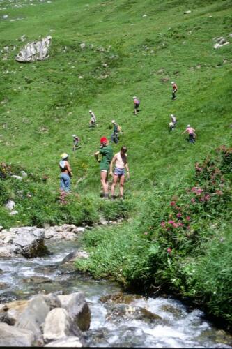 2043 Index [1024x768]