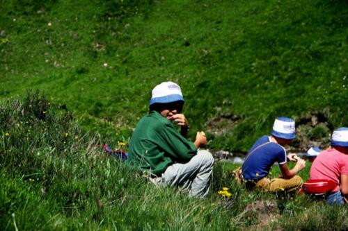 2044 Index [1024x768]