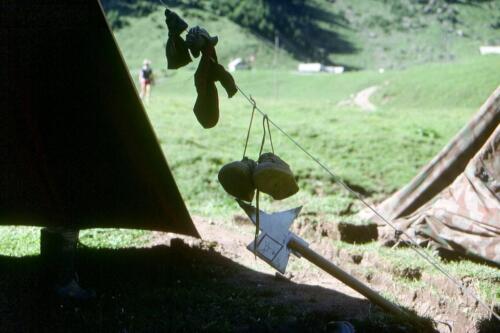 2050 Index [1024x768]