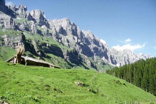 2051 Index [1024x768]