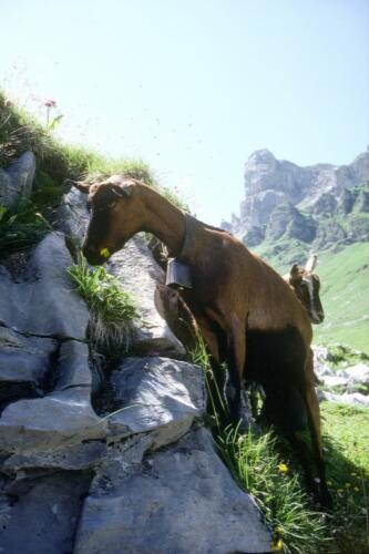 2058 Index [1024x768]