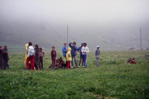 2060 Index [1024x768]