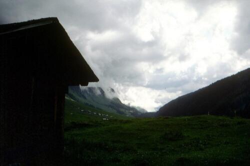 2083 Index [1024x768]