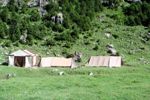 2089 Index [1024x768]