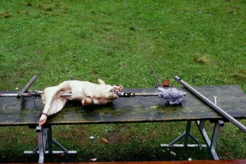 1007 Index [1024x768]