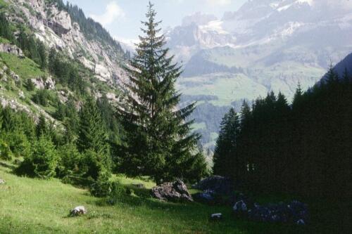 1015 Index [1024x768]