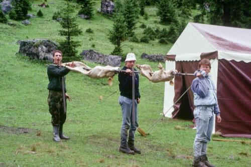 1036 Index [1024x768]