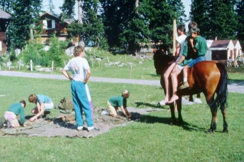 1036 Index [1024x768]