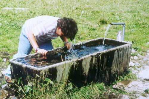 1047 Index [1024x768]