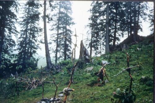 2027 Index [1024x768]