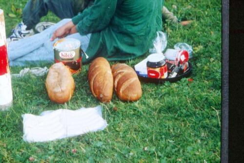 2034 Index [1024x768]