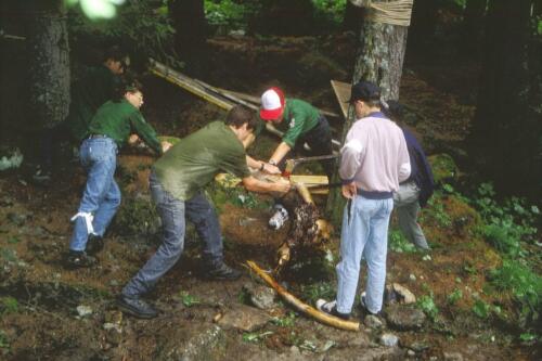 059 Index [1024x768]