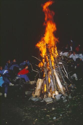 1017 Index [1024x768]