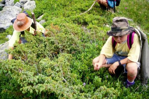 1062 Index [1024x768]