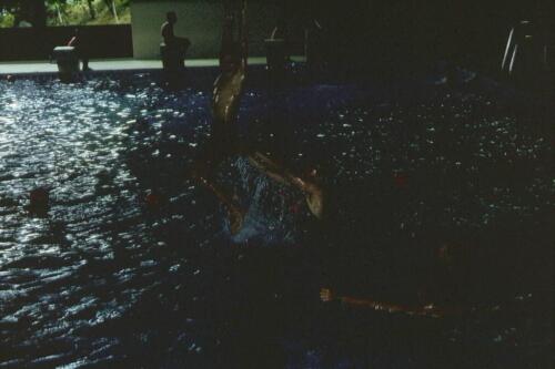 2007 Index [1024x768]