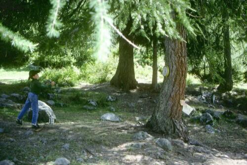 2044 Index [1024x768]