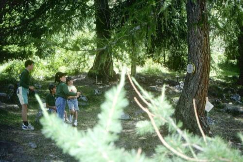 2046 Index [1024x768]