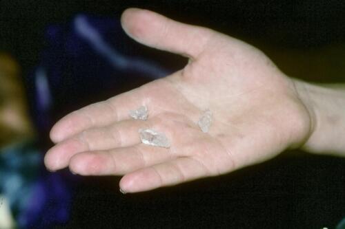 2070 Index [1024x768]