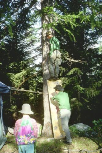 3028 Index [1024x768]