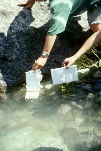 3035 Index [1024x768]