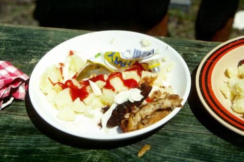 3049 Index [1024x768]