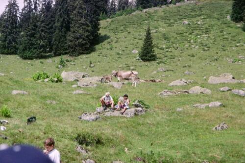 1001 Index (53) [1024x768]