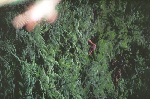 1001 Index (59) [1024x768]