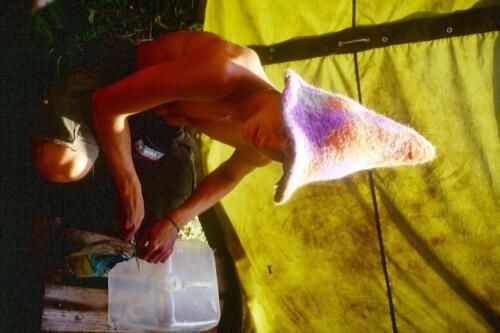 2001 Index (24) [1024x768]