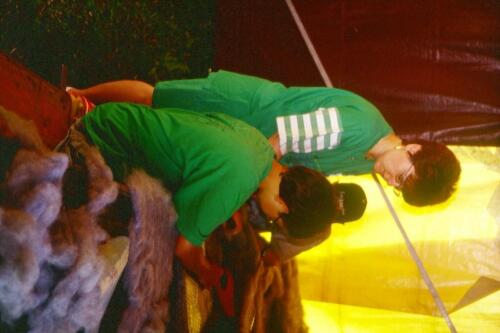 2001 Index (42) [1024x768]