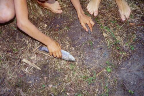 2001 Index (8) [1024x768]