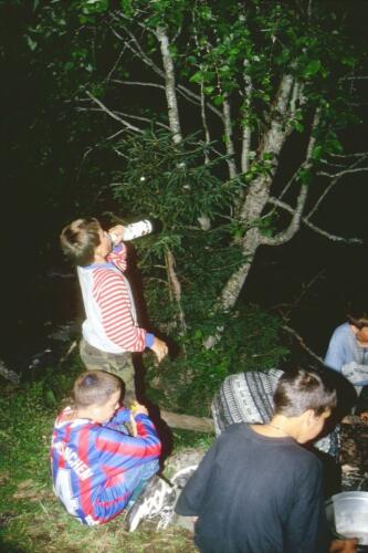 4001 INDEX (77) [1024x768]