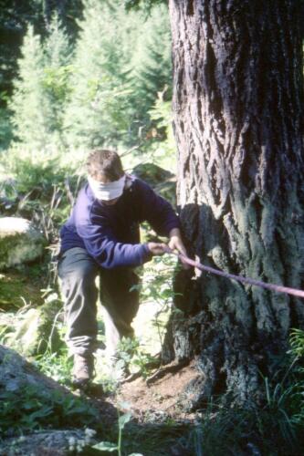 1035 Index [1024x768]