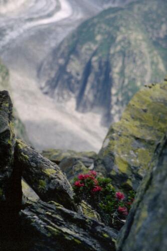 1059 Index [1024x768]