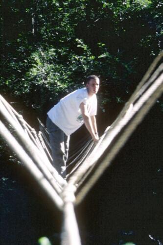 2039 INDEX [1024x768]