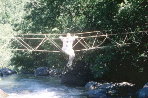 2040 INDEX [1024x768]