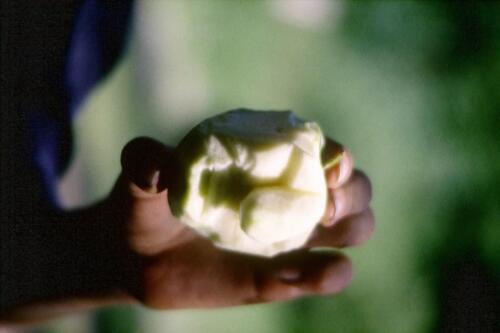 2060 INDEX [1024x768]