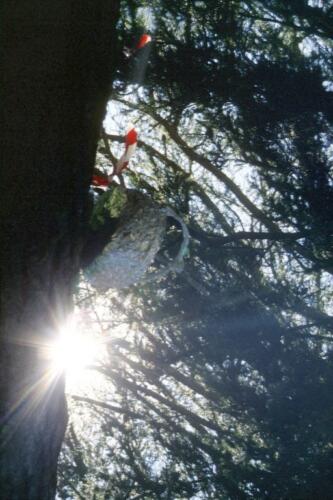 2071 INDEX [1024x768]