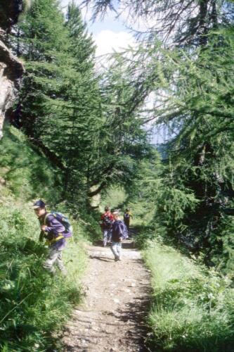 072 INDEX [1024x768]