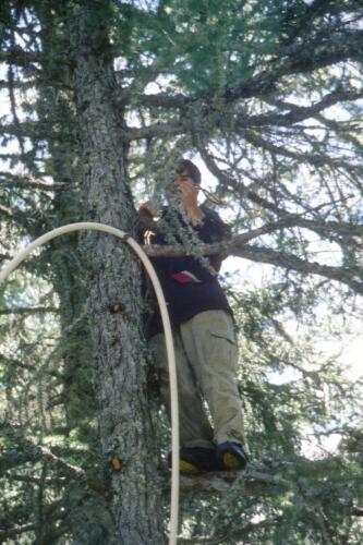 1036 Index [1024x768]