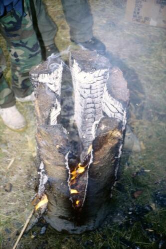 1055 Index [1024x768]