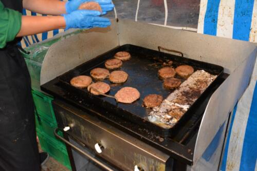 SC 0393 [1024x768] (40)