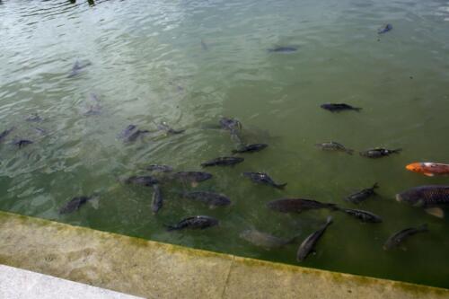 img 4799